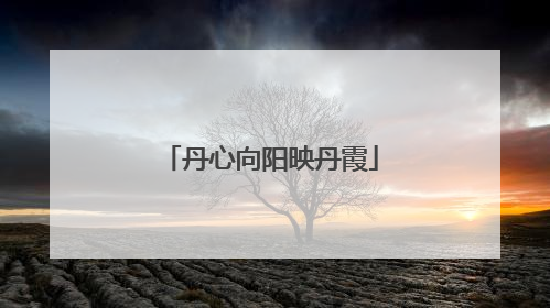 丹心向阳映丹霞