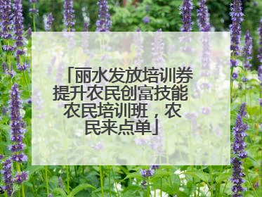 丽水发放培训券提升农民创富技能 农民培训班，农民来点单