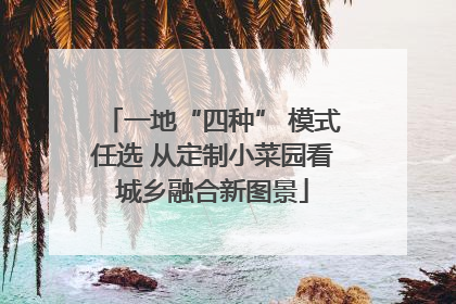 一地“四种” 模式任选 从定制小菜园看城乡融合新图景