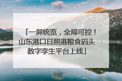 一屏统览，全局可控！山东港口日照港粮食码头数字孪生平台上线