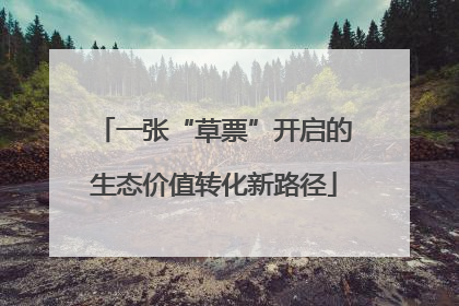 一张“草票”开启的生态价值转化新路径