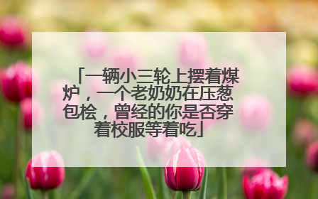 一辆小三轮上摆着煤炉，一个老奶奶在压葱包桧，曾经的你是否穿着校服等着吃