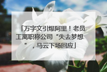 万字文引爆阿里！老员工离职称公司“失去梦想”，马云下场回应