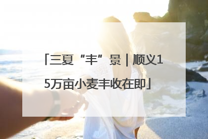 三夏“丰”景｜顺义15万亩小麦丰收在即