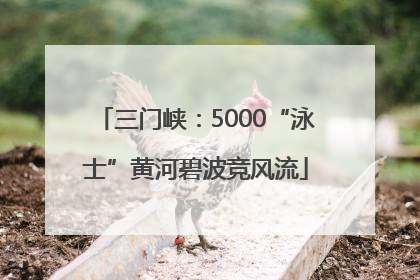 三门峡：5000“泳士”黄河碧波竞风流