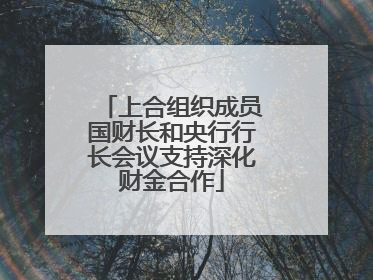 上合组织成员国财长和央行行长会议支持深化财金合作