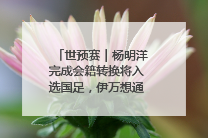 世预赛｜杨明洋完成会籍转换将入选国足，伊万想通了要打双后腰？