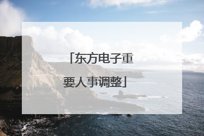 东方电子重要人事调整