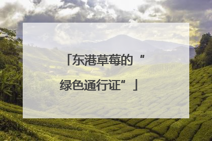 东港草莓的“绿色通行证”