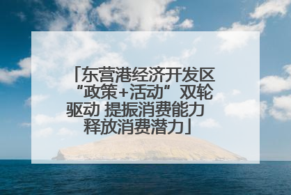 东营港经济开发区“政策+活动”双轮驱动 提振消费能力 释放消费潜力