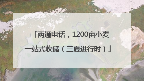 两通电话，1200亩小麦一站式收储（三夏进行时）