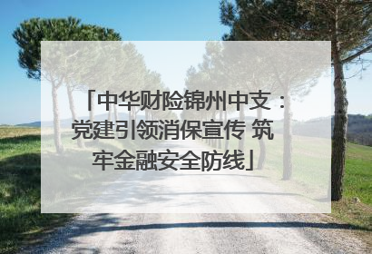中华财险锦州中支：党建引领消保宣传 筑牢金融安全防线
