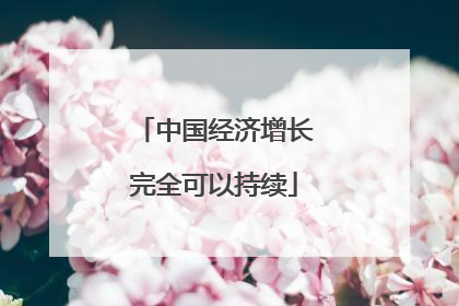 中国经济增长完全可以持续