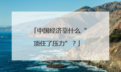 中国经济靠什么“顶住了压力”？