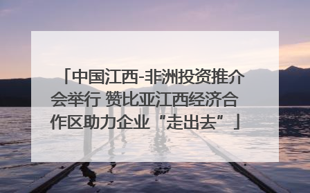 中国江西-非洲投资推介会举行 赞比亚江西经济合作区助力企业“走出去”