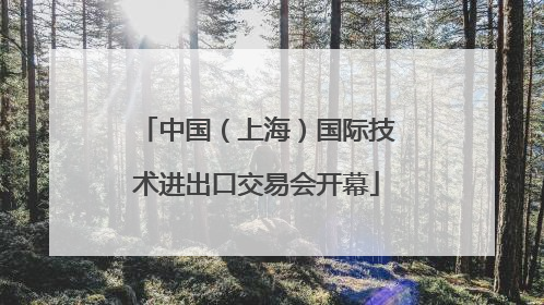 中国（上海）国际技术进出口交易会开幕