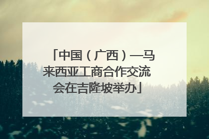 中国（广西）—马来西亚工商合作交流会在吉隆坡举办