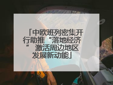 中欧班列密集开行助推“落地经济” 激活周边地区发展新动能