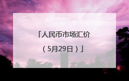 人民币市场汇价（5月29日）