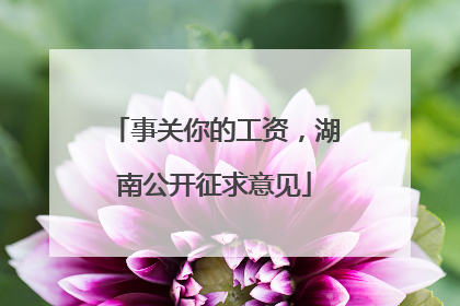 事关你的工资，湖南公开征求意见