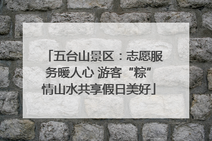 五台山景区：志愿服务暖人心 游客“粽”情山水共享假日美好