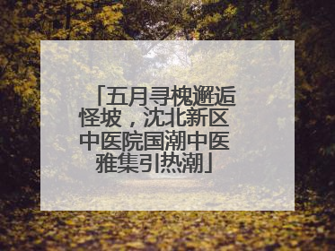 五月寻槐邂逅怪坡，沈北新区中医院国潮中医雅集引热潮