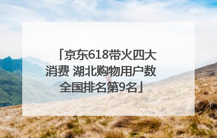 京东618带火四大消费 湖北购物用户数全国排名第9名
