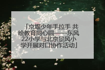 京堰少年手拉手 共绘教育同心圆——东风22小学与北京景风小学开展对口协作活动