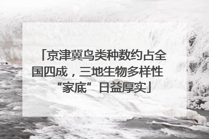 京津冀鸟类种数约占全国四成，三地生物多样性“家底”日益厚实
