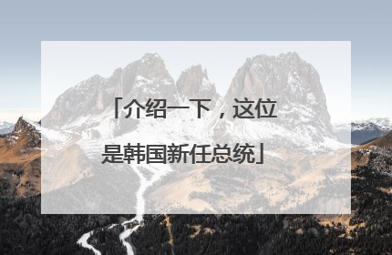 介绍一下，这位是韩国新任总统