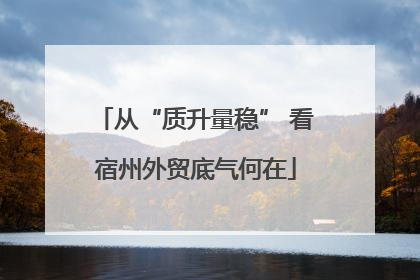 从“质升量稳” 看宿州外贸底气何在