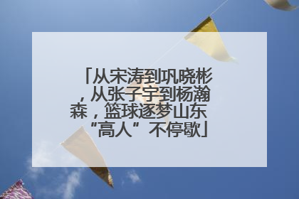 从宋涛到巩晓彬，从张子宇到杨瀚森，篮球逐梦山东“高人”不停歇
