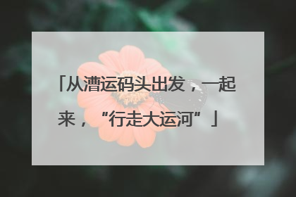 从漕运码头出发,一起来,“行走大运河”