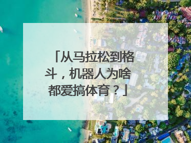从马拉松到格斗，机器人为啥都爱搞体育？