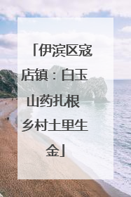 伊滨区寇店镇：白玉山药扎根 乡村土里生金