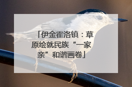 伊金霍洛镇：草原绘就民族“一家亲”和谐画卷