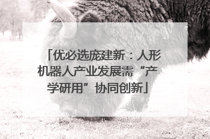 优必选庞建新：人形机器人产业发展需“产学研用”协同创新
