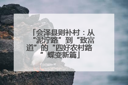 会泽县则补村：从“泥泞路”到“致富道”的“四好农村路”蝶变新篇