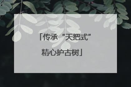 传承“天把式” 精心护古树