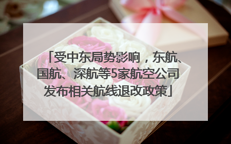 受中东局势影响，东航、国航、深航等5家航空公司发布相关航线退改政策