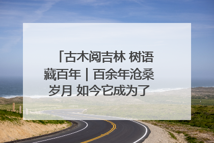 古木阅吉林 树语藏百年｜百余年沧桑岁月 如今它成为了“镇园之宝”