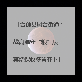 台前县凤台街道：战高温守“粮”辰 禁烧保收多管齐下