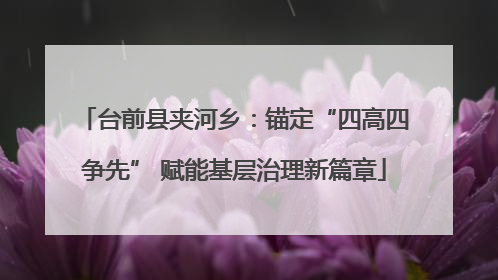 台前县夹河乡：锚定“四高四争先” 赋能基层治理新篇章