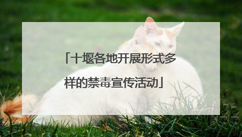 十堰各地开展形式多样的禁毒宣传活动