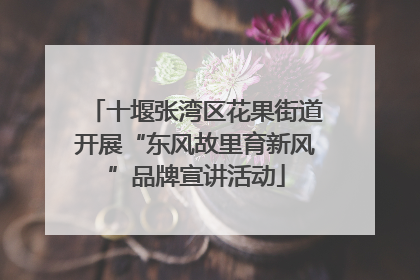 十堰张湾区花果街道开展“东风故里育新风”品牌宣讲活动