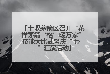 十堰茅箭区召开“花样茅箭‘格’暖万家”技能大比武暨庆“七·一”汇演活动