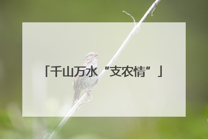 千山万水“支农情”