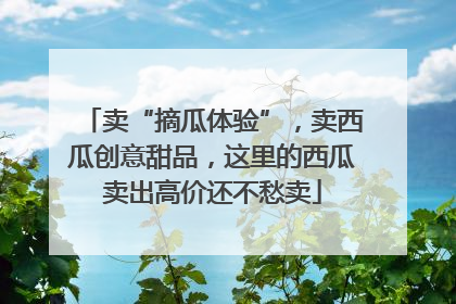 卖“摘瓜体验”，卖西瓜创意甜品，这里的西瓜卖出高价还不愁卖