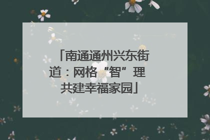 南通通州兴东街道：网格“智”理 共建幸福家园