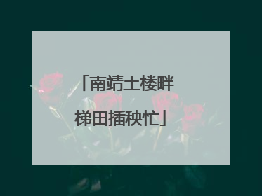 南靖土楼畔 梯田插秧忙